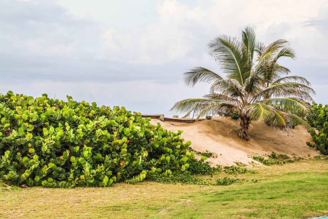 Paradise Beach Home @Jobos Beach Isabela Exterior foto